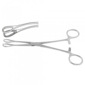 Foerster Sponge Holding Forcep Curved Stainless Steel, 17.5 cm - 7"